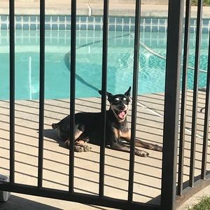 Meet your Posher, Marva